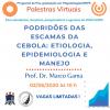 Palestra virtual: Podridões das escamas da cebola: etiologia, epidemiologia e manejo