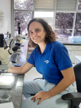 Profile picture for user ELLEN JUNIA CANEDO